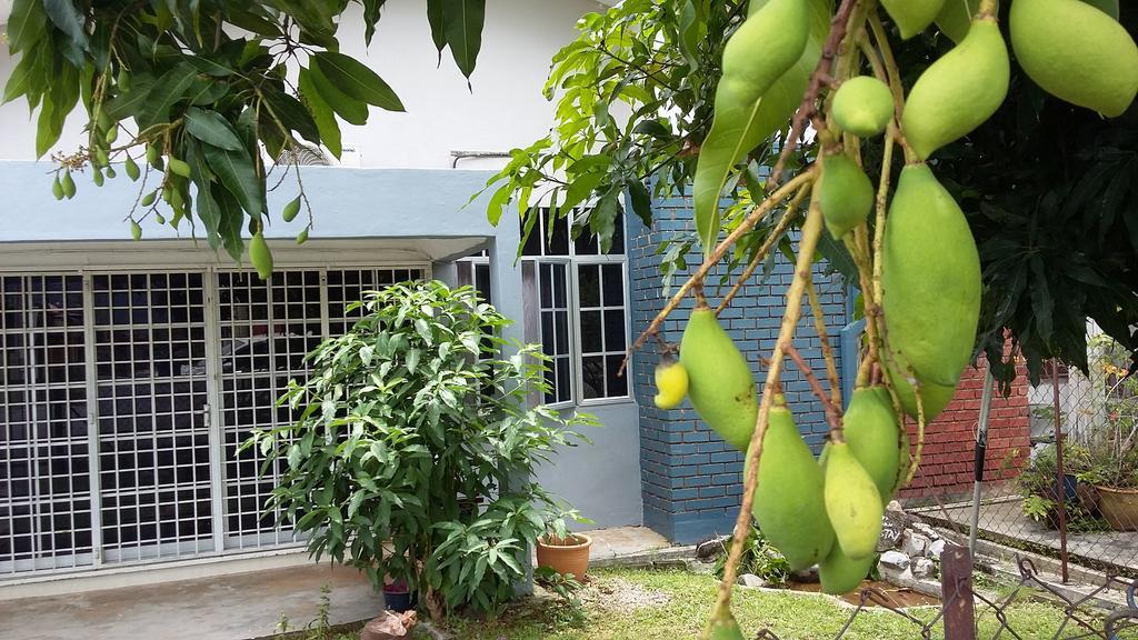 Kayangan Homestay Perlis For Mslim Only كانجار المظهر الخارجي الصورة